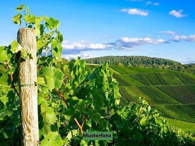 Weingut zum Kauf 552.000 € 1.234 m² Grundstück Klüsserath 54340