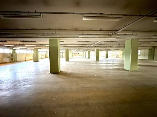 Halle/Industriefläche zur Miete 12.800 € 3.657 m² Lagerfläche Triester Straße Puntigam Graz 8055