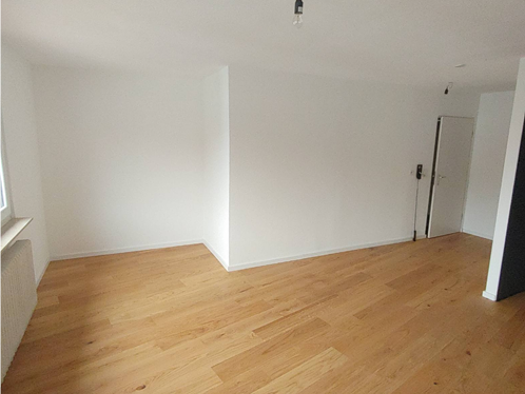 Wohnung zur Miete 450 € 1 Zimmer 28 m² 5. Geschoss Petershauser Str. 3 Petershausen Konstanz 78467
