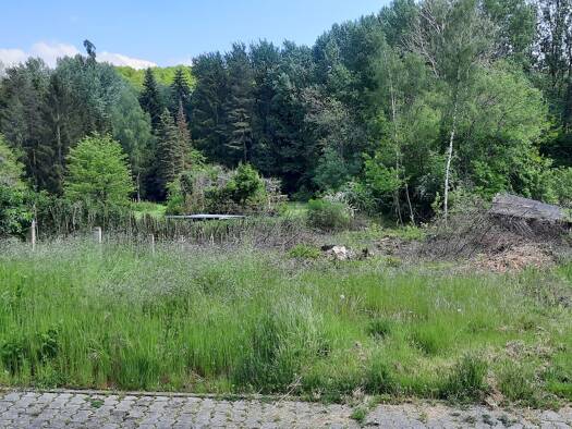 Grundstück zum Kauf 42.000 € 791 m² Grundstück Emmersweiler Großrosseln 66352