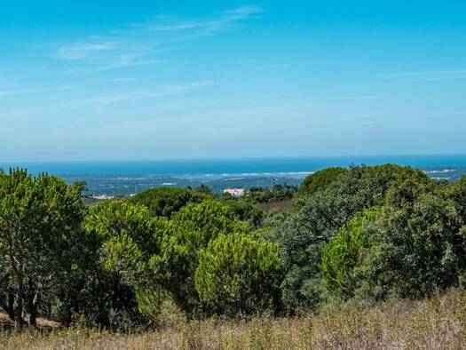 Grundstück zum Kauf 795.000 € 63.750 m² Grundstück Santiago do Cacém, Santa Cruz e São Bartolomeu da Serra 7540