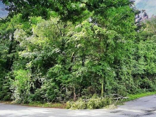 Freizeitgrundstück zum Kauf 30.000 € 3.123 m² Grundstück Hattingen 45527