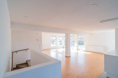 Wohnung zur Miete 1.450 € 3,5 Zimmer 177 m² Souterrain, EG frei ab sofort Kieferndorfer Weg 19 Höchstadt Höchstadt a.d.Aisch 91315