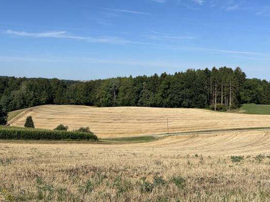 Land-/Forstwirtschaft zum Kauf 395.000 € 26.000 m² Grundstück Wetzl Zeilarn 84367