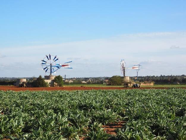 Grundstück zum Kauf 1.200.000 € 22.033 m² Grundstück Llubí 07430