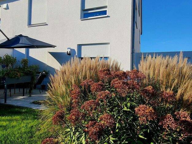 Doppelhaushälfte zum Kauf provisionsfrei 665.000 € 4 Zimmer 120 m² 260 m² Grundstück frei ab 01.04.2026 Dünzlau Ingolstadt 85049