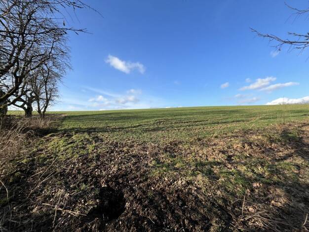Grundstück zum Kauf 51.000 € 6.795 m² Grundstück Bösingfeld Extertal 32699