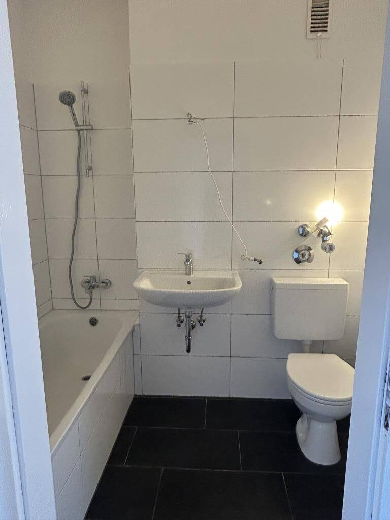 Wohnung zur Miete – další