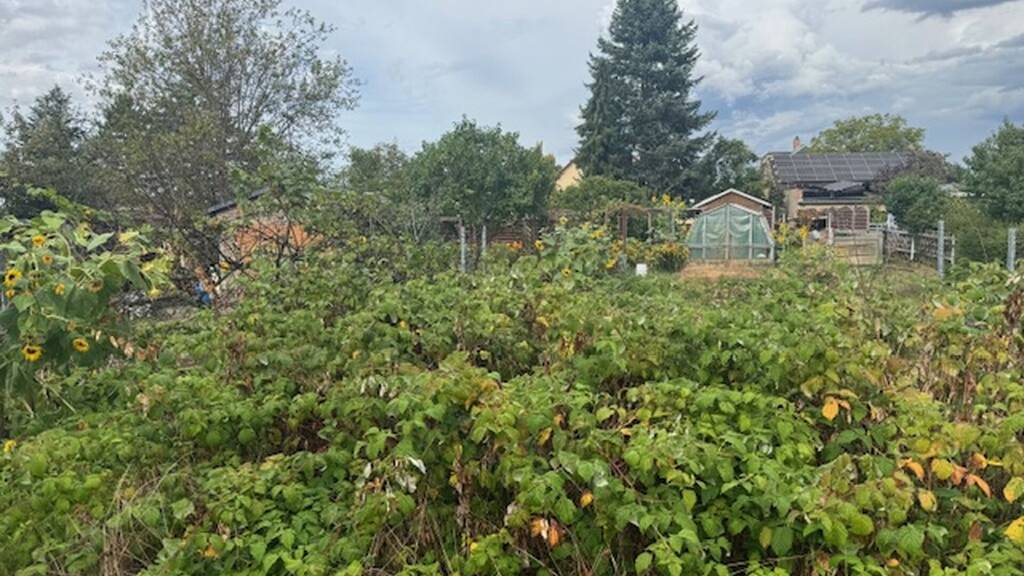 Grundstück zum Kauf 220.000 € 415 m² Grundstück Radebeul 01445