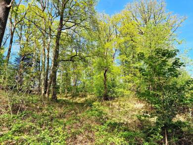 Grundstück zum Kauf 779.000 € 4.018 m² Grundstück frei ab sofort Hittfeld Seevetal 21218