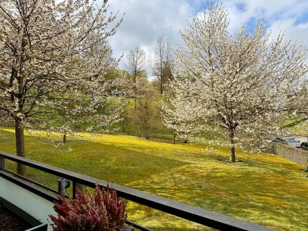 Wohnung zur Miete 1.597 € 3,5 Zimmer 84,2 m² EG frei ab 01.05.2026 Ost Stuttgart 70190