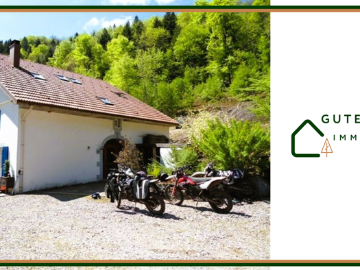 Einfamilienhaus zum Kauf 889.000 € 320 m² 29.000 m² Grundstück Ferdrupt 88360