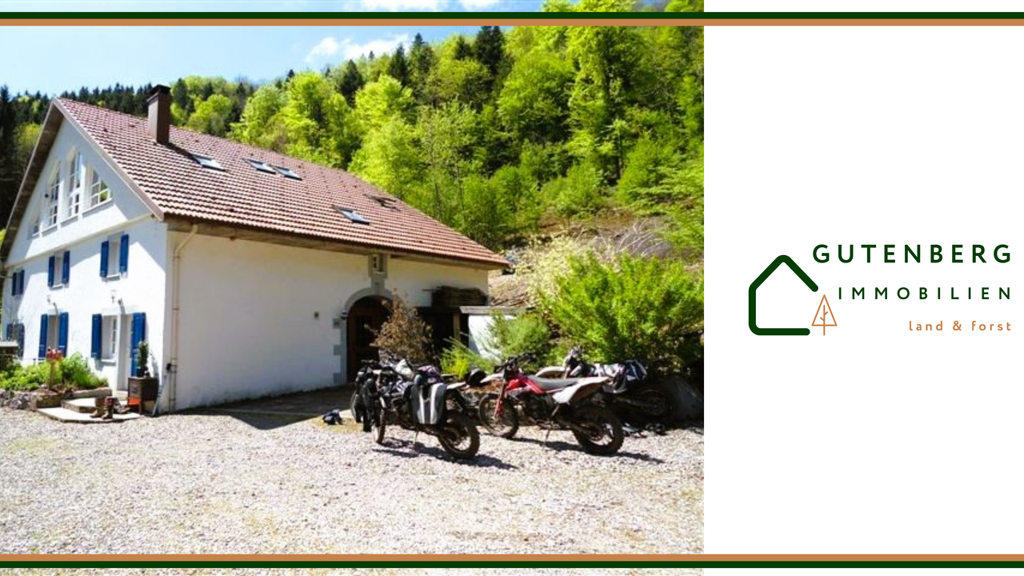 Einfamilienhaus zum Kauf 889.000 € 320 m² 29.000 m² Grundstück Ferdrupt 88360