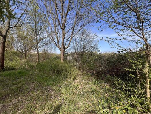 Gewerbegrundstück zum Kauf 400.000 € 4.800 m² Grundstück Eilenburg Eilenburg 04838