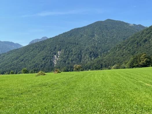 Grundstück zum Kauf 610 m² Grundstück Schleching 83259