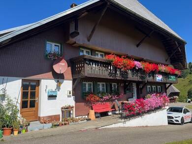 Einfamilienhaus zum Kauf 519.000 € 18 Zimmer 400 m² 1.672 m² Grundstück Weg Todtmoos 79682