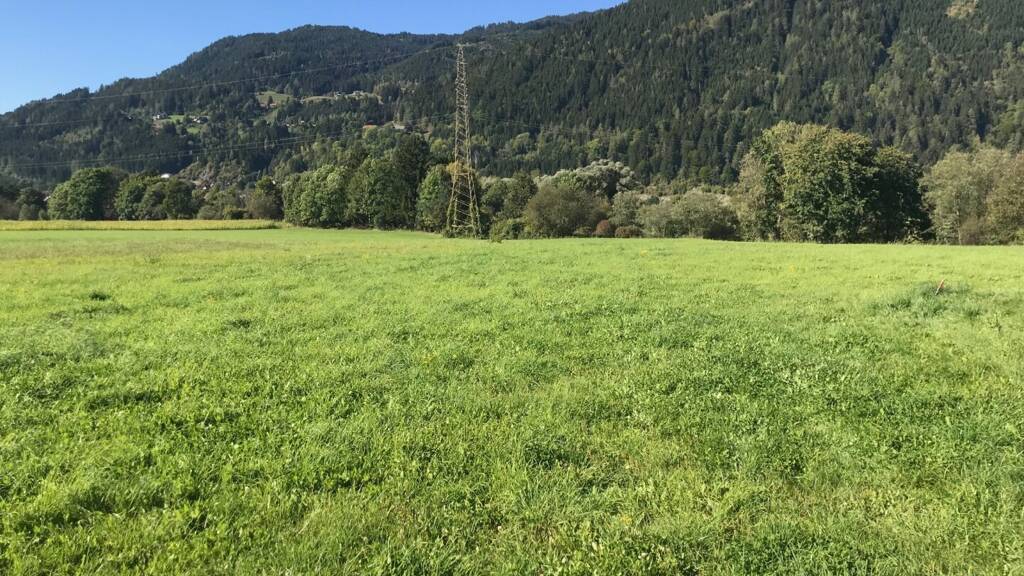 Grundstück zum Kauf 942.880 € 11.786 m² Grundstück Scheifling 8811