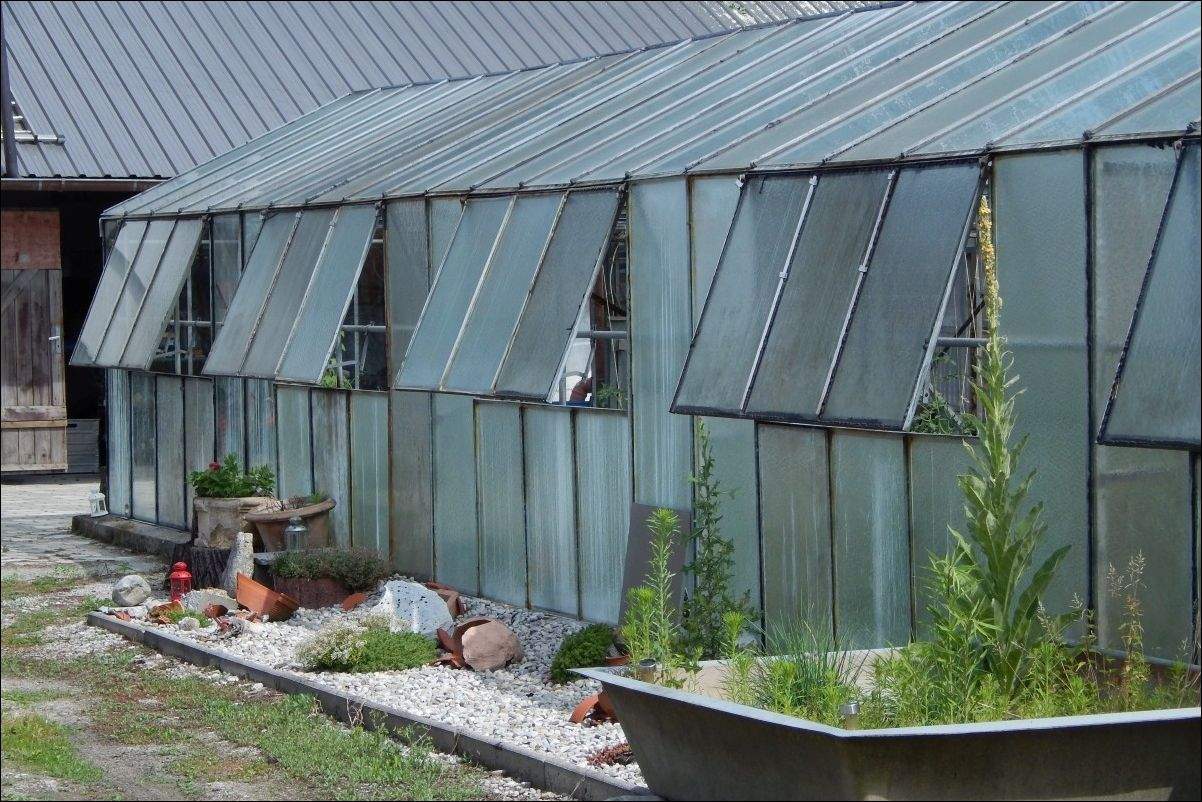 Gartenbau zum Kauf