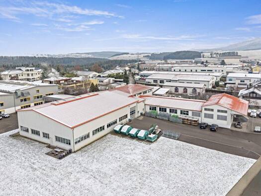 Produktionshalle zum Kauf provisionsfrei 1.250.000 € 1.940 m² Lagerfläche Frittlingen 78665
