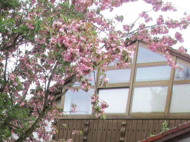 Wohnung zum Kauf provisionsfrei 369.000 € 4 Zimmer 98 m² Dachgeschoss, 1. Geschoss Haldenwang Haldenwang 87490