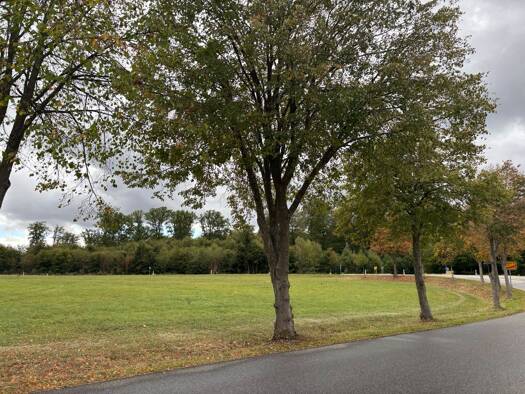 Grundstück zum Kauf provisionsfrei 125.000 € 840 m² Grundstück frei ab sofort Gammelshausen 2 A Hollnich 56288
