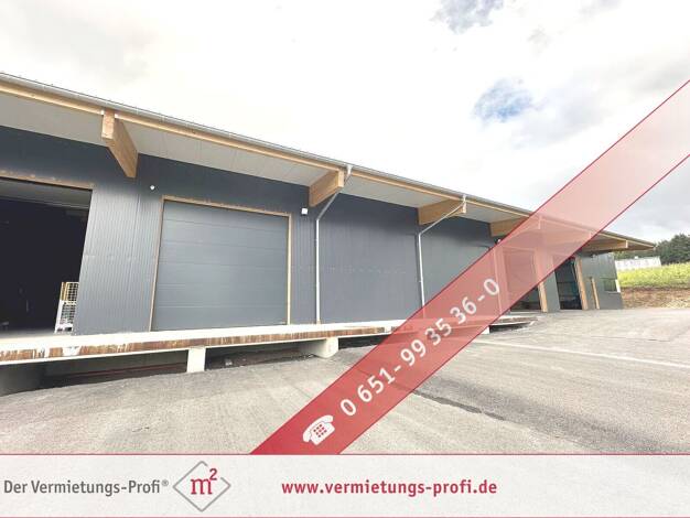 Lagerhalle zur Miete 1.027,2 m² Lagerfläche Hermeskeil Hermeskeil 54411
