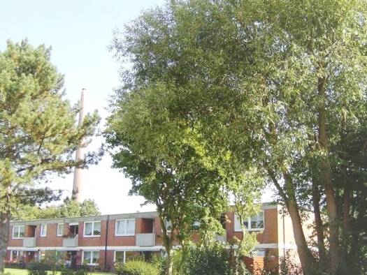Wohnung zur Miete 580 € 3 Zimmer 77,4 m² 1. Geschoss frei ab 01.09.2025 Holtenauer Strasse 32 Kappeln 24376