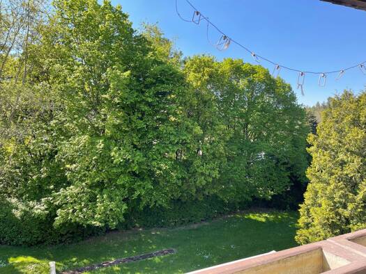 Wohnung zur Miete 550 € 2 Zimmer 45 m² Geschoss 1/2 frei ab 01.10.2026 Irsch Trier 54296