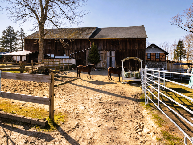 Bauernhaus zum Kauf 990.000 € 10 Zimmer 300 m² 114.866 m² Grundstück Rosenthal am Rennsteig 07366