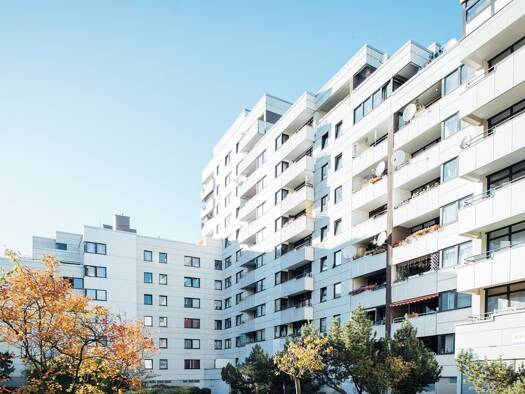 Wohnung zur Miete 383 € 1 Zimmer 42,6 m² 2. Geschoss frei ab 01.11.2026 Groß-Ziethener Straße 88 Lichtenrade Berlin 12309