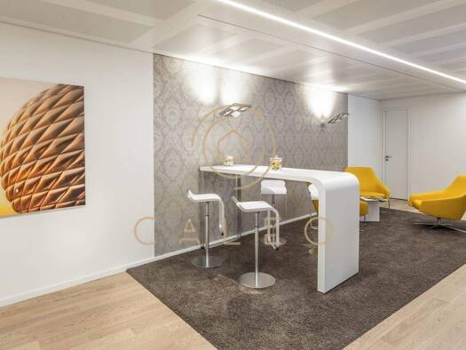 Bürofläche zur Miete provisionsfrei 150 m² Bürofläche teilbar ab 1 m² Maxvorstadt München 80333