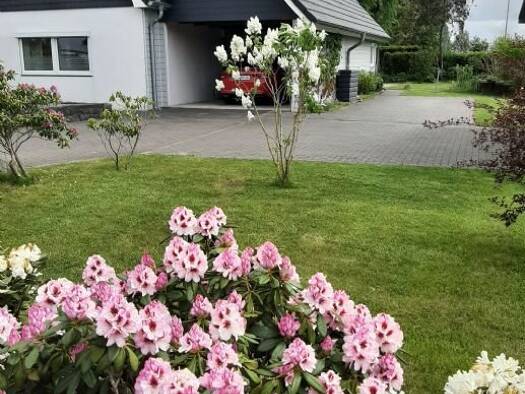 Wohnung zur Miete 900 € 2,5 Zimmer 90 m² 1. Geschoss Neuenkirchen 25792