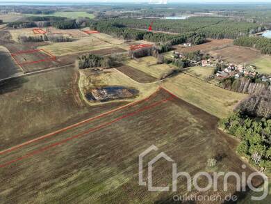 Land-/Forstwirtschaft zum Kauf 33.900 € 56.170 m² Grundstück Klein Radisch Klein-Radisch 02943