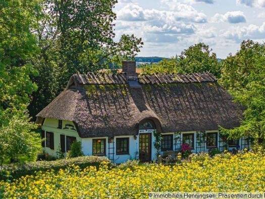 Haus zum Kauf 329.000 € 5 Zimmer 95 m² 17.580 m² Grundstück Steinbergkirche 24972