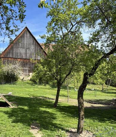 Bauernhaus zum Kauf 295.000 € 4 Zimmer 117 m² 1.962 m² Grundstück Oberhöchstädt Dachsbach 91462
