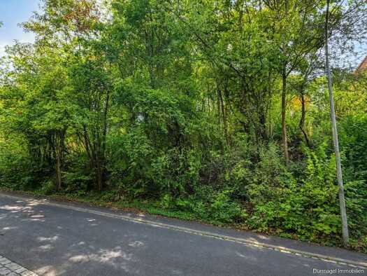 Grundstück zum Kauf 1.499.000 € 1.579 m² Grundstück Steinbachtal Würzburg 97082