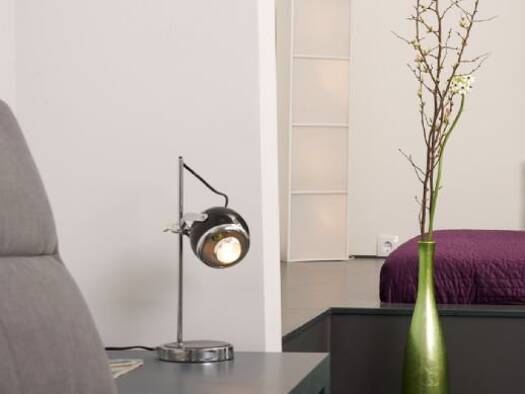 Studio zur Miete Wohnen auf Zeit 750 € 1 Zimmer 35 m² frei ab sofort Paul-Roosen-Straße St. Pauli Hamburg 22767