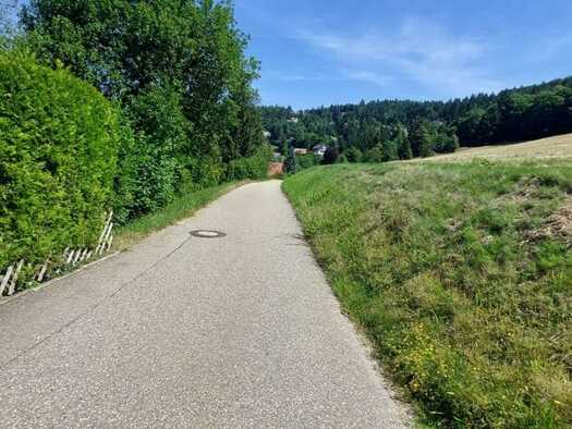 Grundstück zum Kauf 249.000 € 1.312 m² Grundstück Sasbachwalden 77887