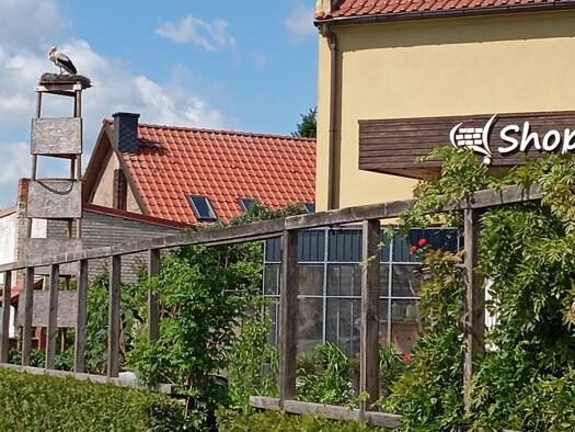 Einfamilienhaus zum Kauf provisionsfrei 320.000 € 5,5 Zimmer 130 m² 2.157 m² Grundstück Blumenthaler Bahnhofstraße 9 Blumenthal Heiligengrabe 16909