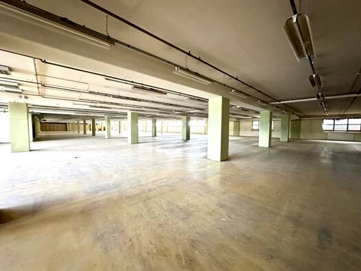 Halle/Industriefläche zur Miete 3,50 € 1.500 m² Lagerfläche Triester Straße Puntigam Graz 8055