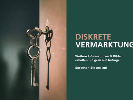 Mehrfamilienhaus zum Kauf 2.950.000 € 30 Zimmer 1.000 m² 700 m² Grundstück Altstadt Heidelberg 69117