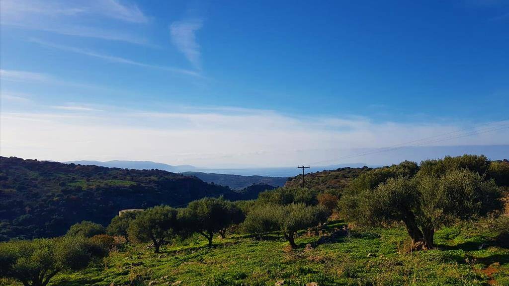 Land-/Forstwirtschaft zum Kauf 70.000 € 10.226 m² Grundstück Kreta