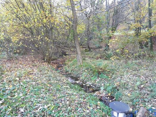 Grundstück zum Kauf 99.000 € 3.137 m² Grundstück frei ab sofort Kimbach Bad König 64732