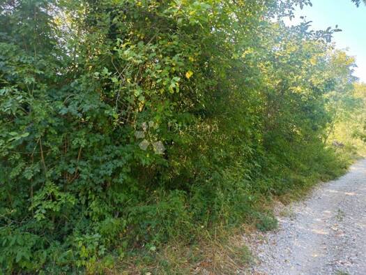 Acker-/Waldstück zum Kauf 7.500 € Veli Brgud, Matulji Matulji 51211