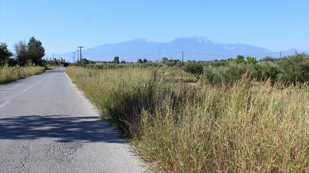 Land-/Forstwirtschaft zum Kauf 120.000 € 1.904 m² Grundstück Olympische Riviera