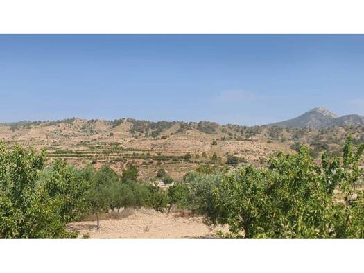 Acker-/Waldstück zum Kauf 41.995 € Abanilla 30640