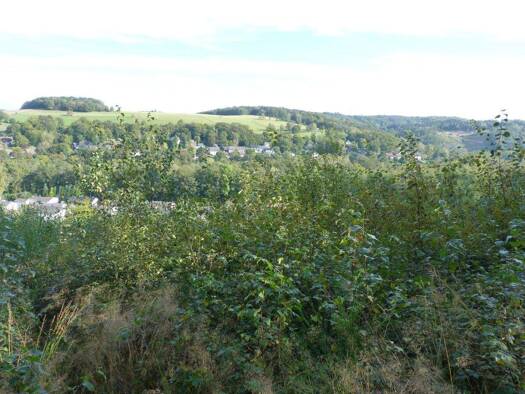 Land-/Forstwirtschaft zum Kauf provisionsfrei 15.900 € 6.722 m² Grundstück Oberwiehl Wiehl 51674