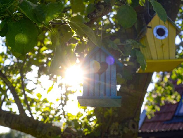 Doppelhaushälfte zum Kauf 801.924 € 6 Zimmer 151 m² 661 m² Grundstück Angelmodde Münster 48167