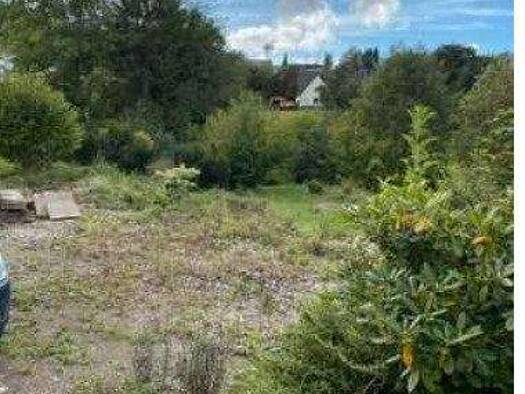 Grundstück zum Kauf 300.000 € 1.200 m² Grundstück Reeswinkel Schalksmühle 58579