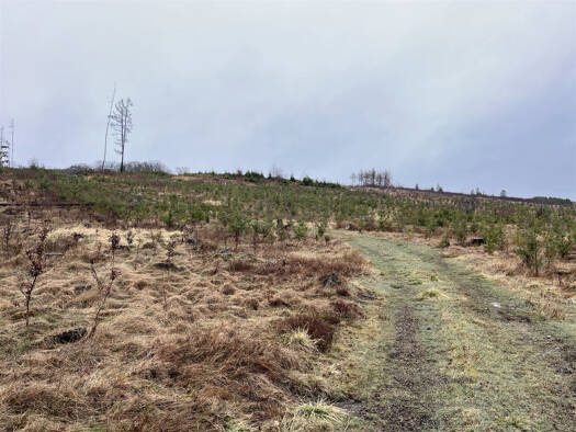 Land-/Forstwirtschaft zum Kauf 73.056 m² Grundstück Heringhausen Bestwig-Nuttlar 59909